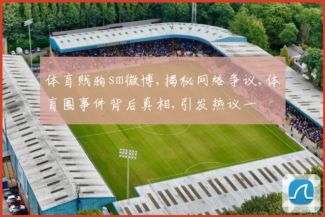 体育贱狗sm微博,揭秘网络争议,体育圈事件背后真相,引发热议一